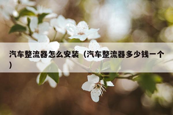 汽车整流器怎么安装（汽车整流器多少钱一个）