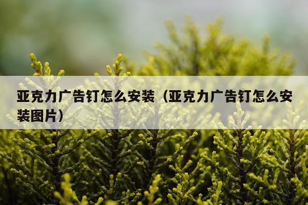 亚克力广告钉怎么安装（亚克力广告钉怎么安装图片）