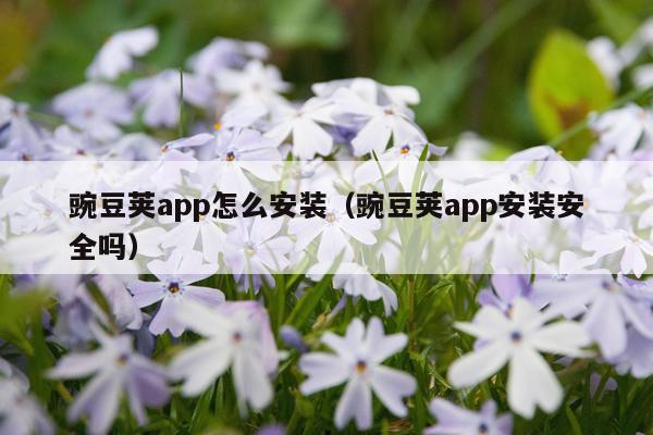豌豆荚app怎么安装（豌豆荚app安装安全吗）