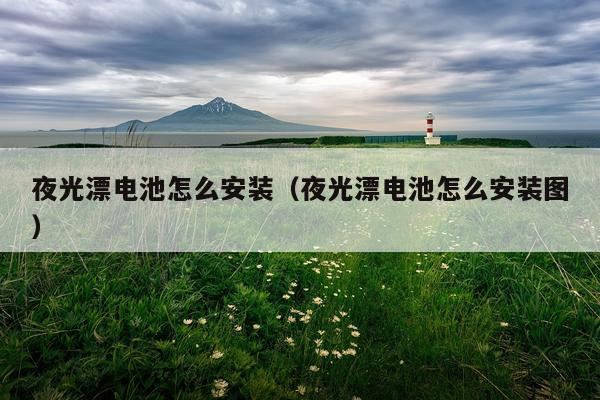夜光漂电池怎么安装（夜光漂电池怎么安装图）