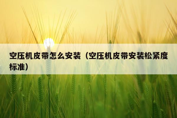 空压机皮带怎么安装（空压机皮带安装松紧度标准）