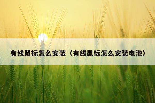 有线鼠标怎么安装（有线鼠标怎么安装电池）