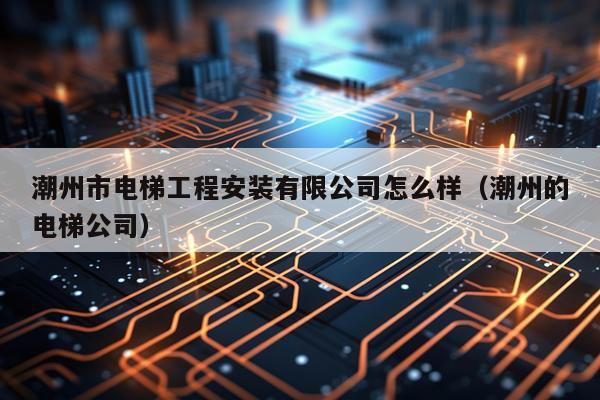 潮州市电梯工程安装有限公司怎么样（潮州的电梯公司）