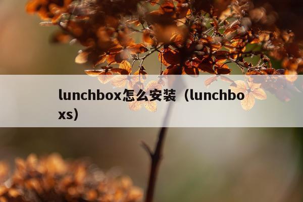 lunchbox怎么安装（lunchboxs）