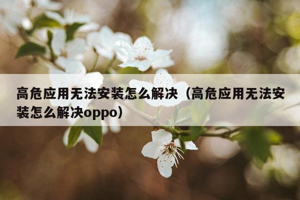 高危应用无法安装怎么解决（高危应用无法安装怎么解决oppo）