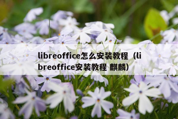 libreoffice怎么安装教程（libreoffice安装教程 麒麟）