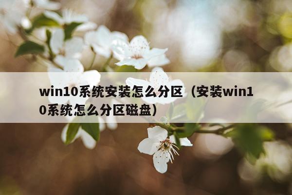 win10系统安装怎么分区（安装win10系统怎么分区磁盘）