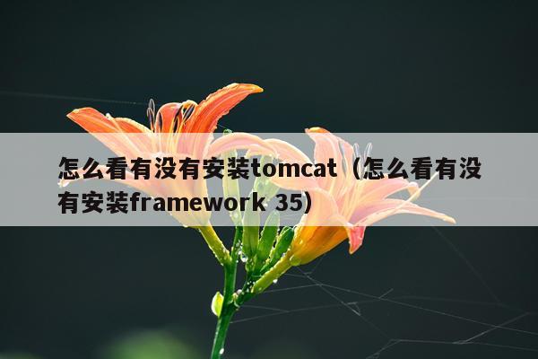 怎么看有没有安装tomcat（怎么看有没有安装framework 35）
