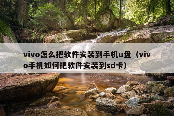vivo怎么把软件安装到手机u盘（vivo手机如何把软件安装到sd卡）