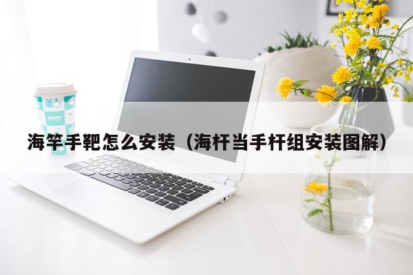 海竿手靶怎么安装(海杆当手杆组安装图解)