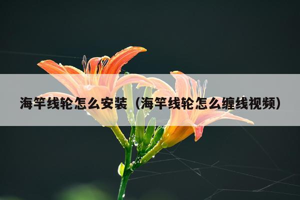 海竿线轮怎么安装（海竿线轮怎么缠线视频）