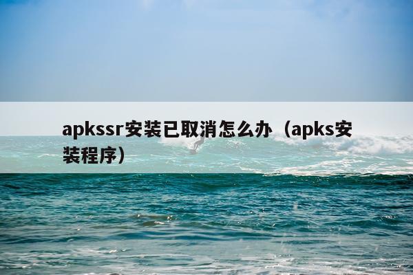 apkssr安装已取消怎么办（apks安装程序）