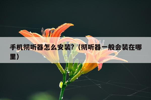 手机彻听器怎么安装?（彻听器一般会装在哪里）