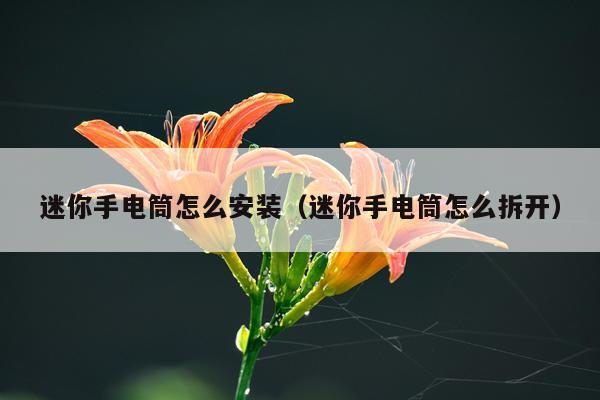 迷你手电筒怎么安装（迷你手电筒怎么拆开）