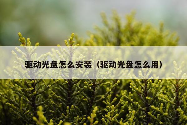 驱动光盘怎么安装（驱动光盘怎么用）