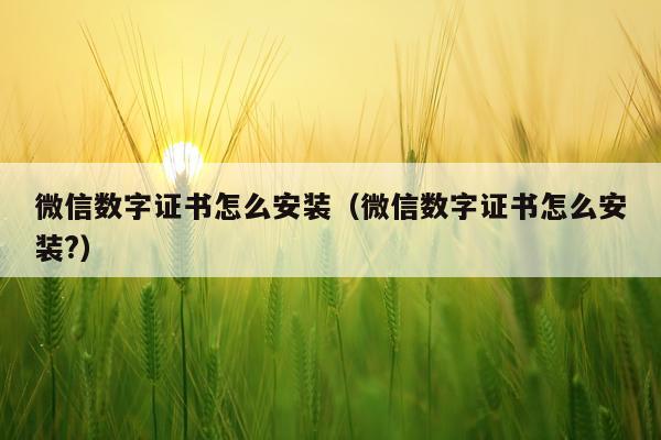 微信数字证书怎么安装（微信数字证书怎么安装?）