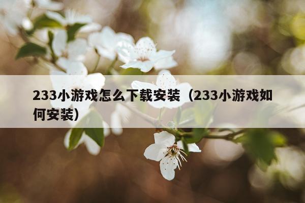 233小游戏怎么下载安装（233小游戏如何安装）