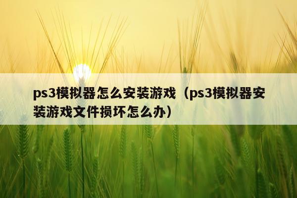 ps3模拟器怎么安装游戏（ps3模拟器安装游戏文件损坏怎么办）