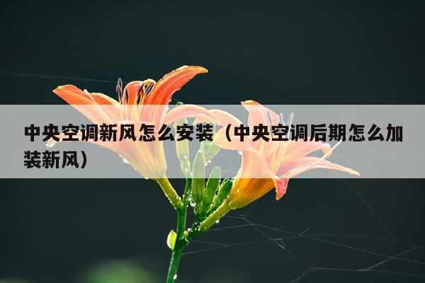 中央空调新风怎么安装（中央空调后期怎么加装新风）