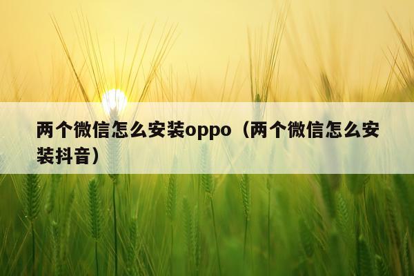 两个微信怎么安装oppo（两个微信怎么安装抖音）