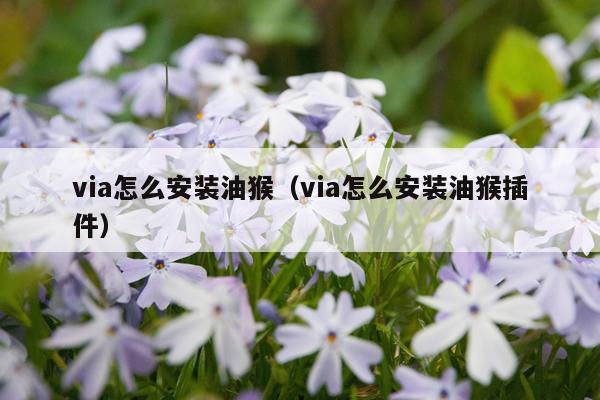 via怎么安装油猴（via怎么安装油猴插件）