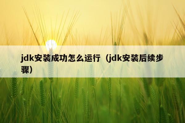 jdk安装成功怎么运行（jdk安装后续步骤）