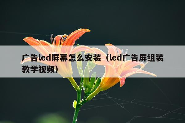 广告led屏幕怎么安装（led广告屏组装教学视频）