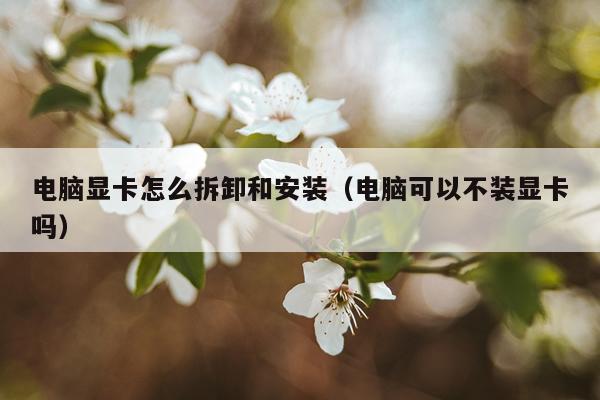 电脑显卡怎么拆卸和安装（电脑可以不装显卡吗）