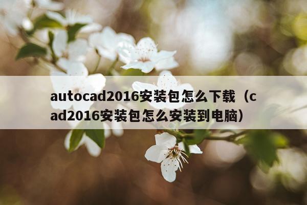 autocad2016安装包怎么下载（cad2016安装包怎么安装到电脑）