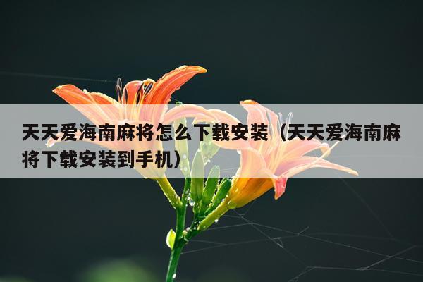 天天爱海南麻将怎么下载安装（天天爱海南麻将下载安装到手机）