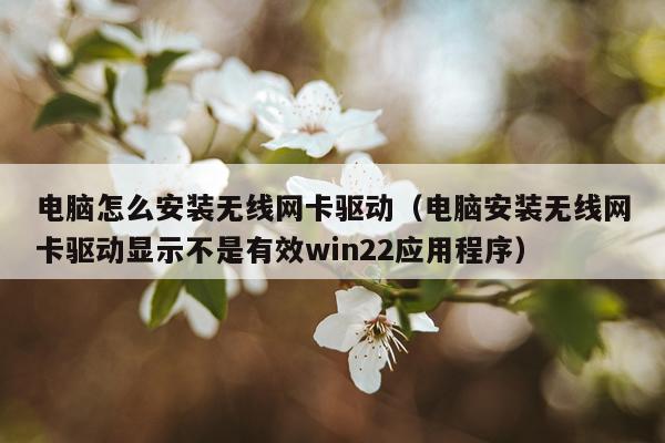 电脑怎么安装无线网卡驱动（电脑安装无线网卡驱动显示不是有效win22应用程序）
