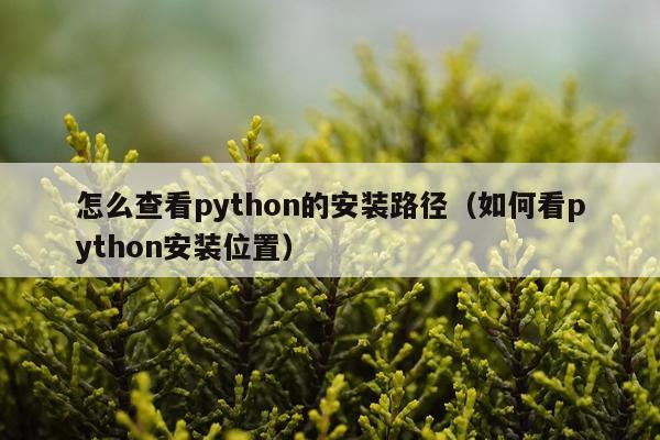 怎么查看python的安装路径（如何看python安装位置）