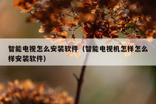 智能电视怎么安装软件（智能电视机怎样怎么样安装软件）
