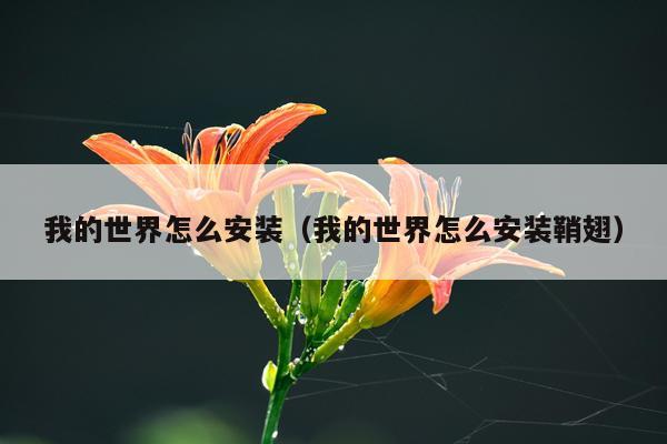 我的世界怎么安装（我的世界怎么安装鞘翅）