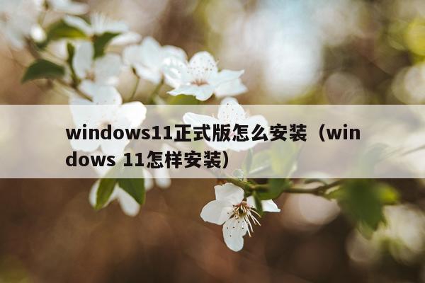 windows11正式版怎么安装（windows 11怎样安装）