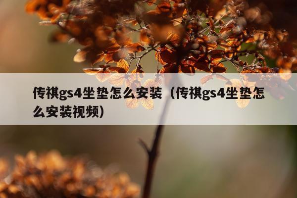 传祺gs4坐垫怎么安装（传祺gs4坐垫怎么安装视频）