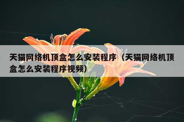 天猫网络机顶盒怎么安装程序（天猫网络机顶盒怎么安装程序视频）