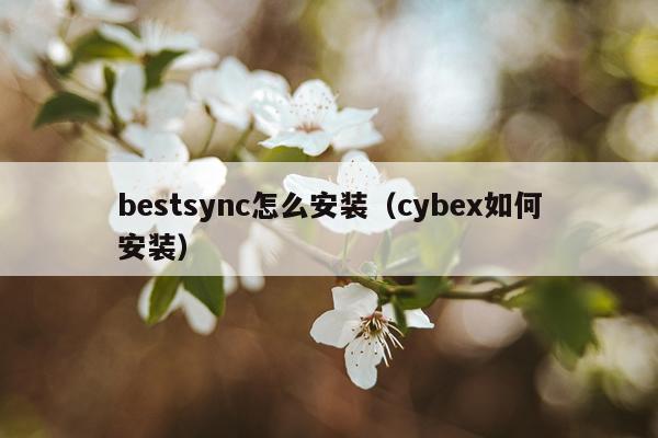 bestsync怎么安装（cybex如何安装）