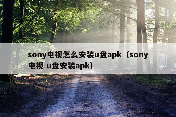 sony电视怎么安装u盘apk（sony电视 u盘安装apk）