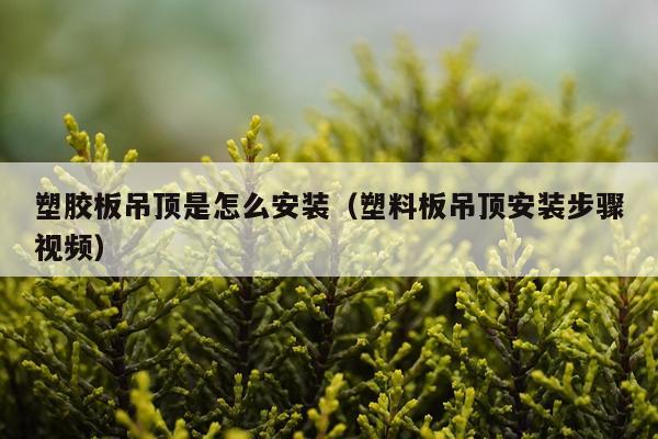 塑胶板吊顶是怎么安装（塑料板吊顶安装步骤视频）