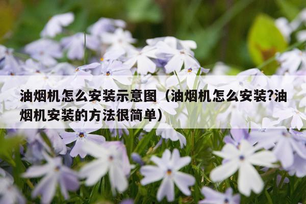 油烟机怎么安装示意图（油烟机怎么安装?油烟机安装的方法很简单）
