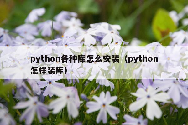 python各种库怎么安装（python怎样装库）