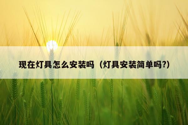 现在灯具怎么安装吗（灯具安装简单吗?）