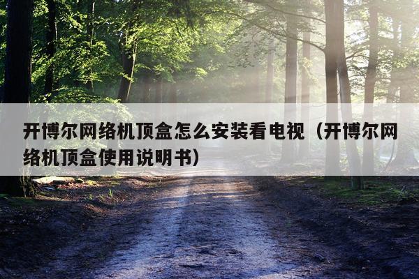 开博尔网络机顶盒怎么安装看电视（开博尔网络机顶盒使用说明书）