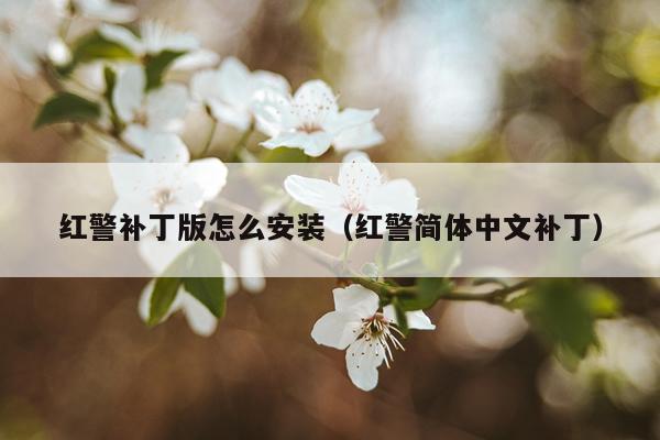 红警补丁版怎么安装（红警简体中文补丁）