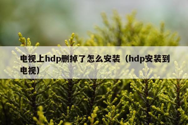 电视上hdp删掉了怎么安装（hdp安装到电视）