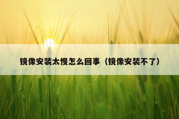 镜像安装太慢怎么回事（镜像安装不了）