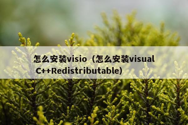 怎么安装visio（怎么安装visual C++Redistributable）