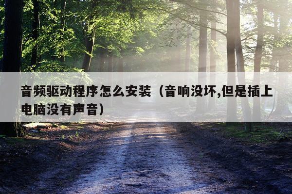 音频驱动程序怎么安装（音响没坏,但是插上电脑没有声音）