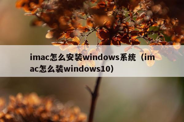 imac怎么安装windows系统（imac怎么装windows10）